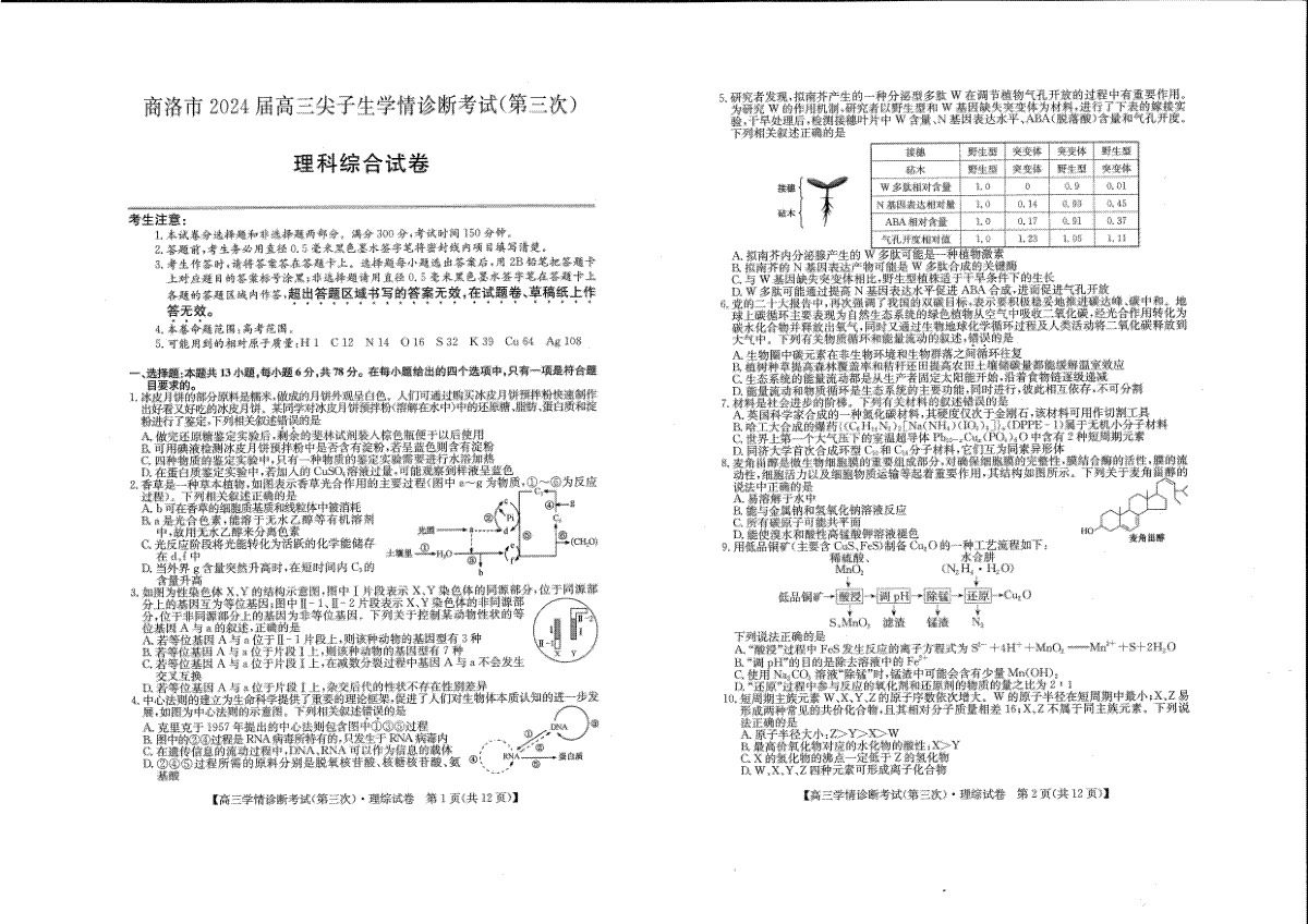 2024届陕西省商洛市高三下学期尖子生学情诊断考试（第三次）理综