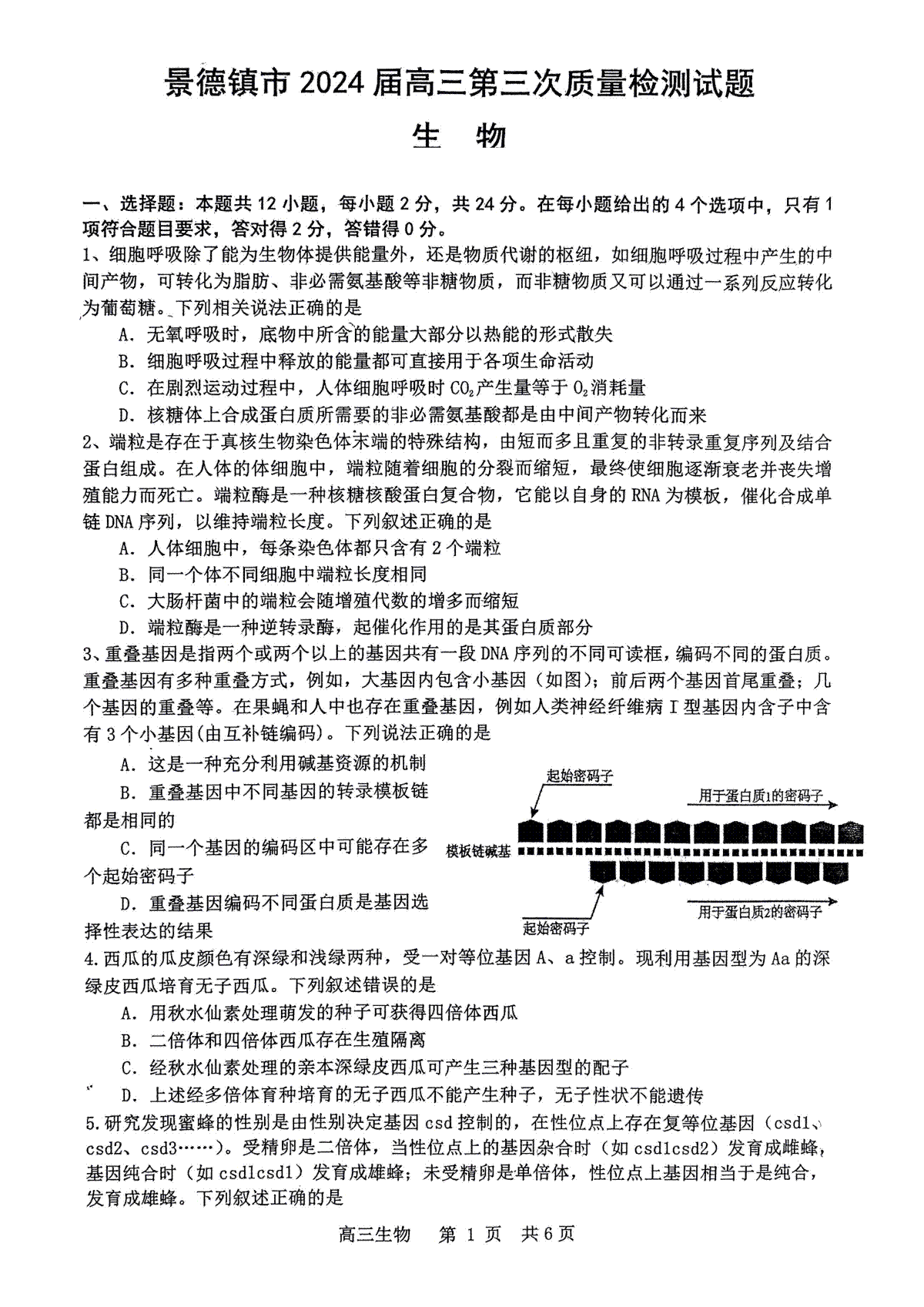 2024届江西省景德镇市高三下学期第三次质量检测生物试题