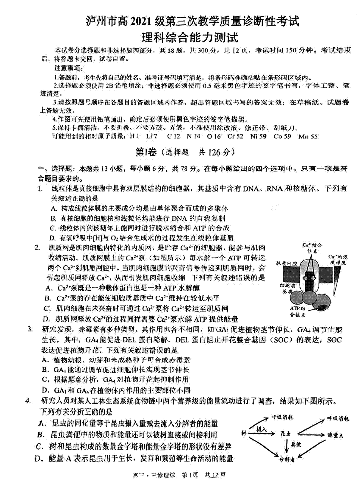 2024届四川省泸州市高三下学期三模理综试卷