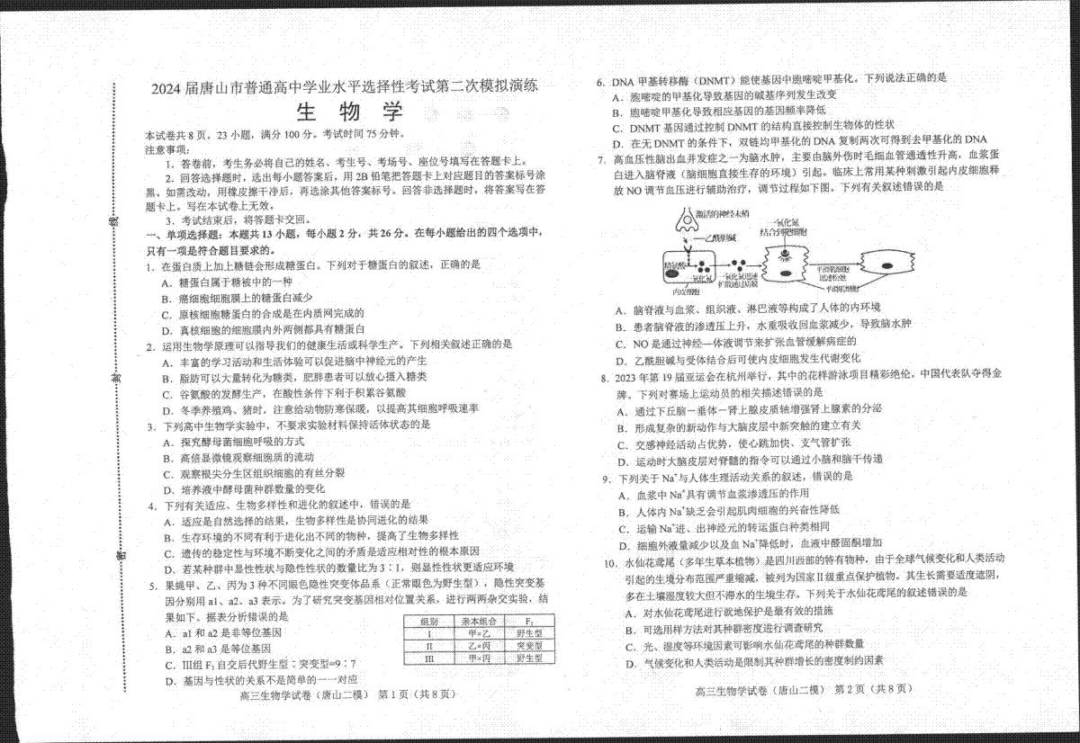 2024届河北省唐山市高三下学期二模考试生物试题