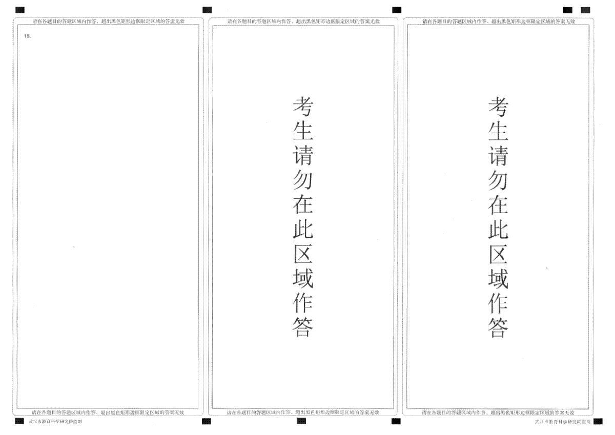 2024届湖北武汉四月调考物理答题卡