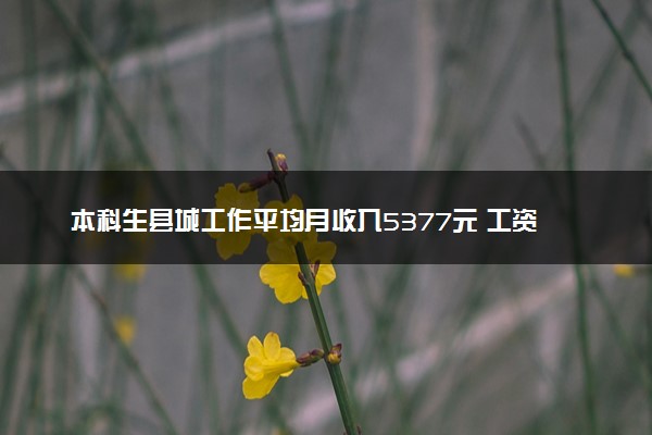 本科生县城工作平均月收入5377元 工资收入明显提高