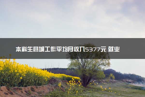 本科生县城工作平均月收入5377元 就业比例上升