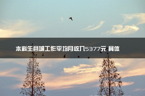 本科生县城工作平均月收入5377元 具体怎么回事