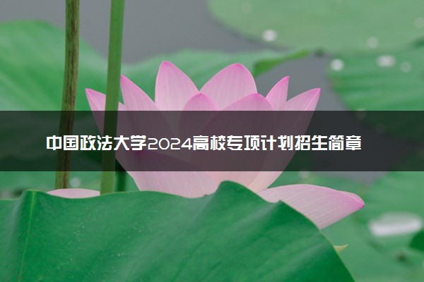 中国政法大学2024高校专项计划招生简章 招生专业及计划