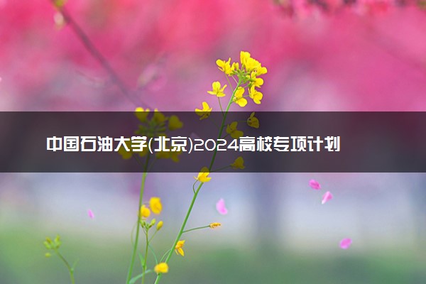 中国石油大学（北京）2024高校专项计划招生简章 招生专业及计划