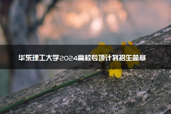 华东理工大学2024高校专项计划招生简章 招生专业及计划