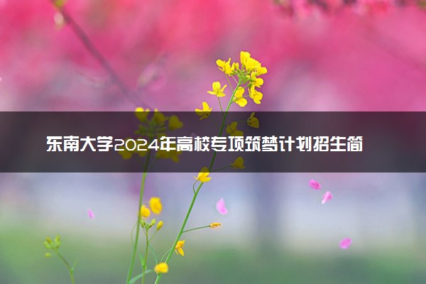 东南大学2024年高校专项筑梦计划招生简章 招生专业及计划