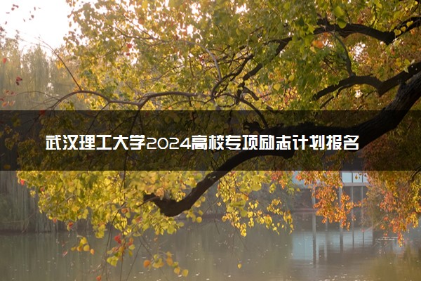 武汉理工大学2024高校专项励志计划报名时间 几号截止