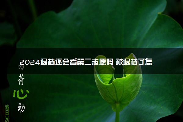 2024退档还会看第二志愿吗 被退档了怎么办