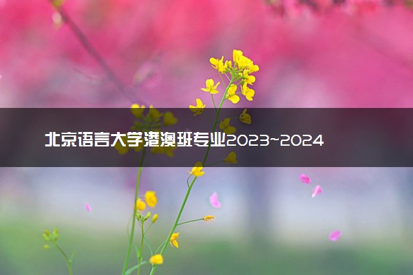 北京语言大学港澳班专业2023~2024