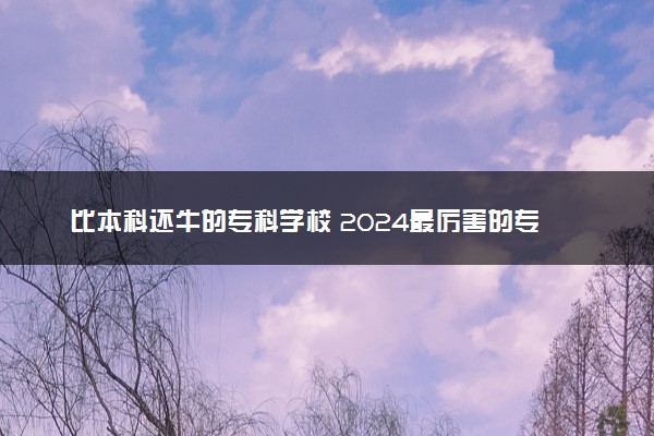 比本科还牛的专科学校 2024最厉害的专科TOP3