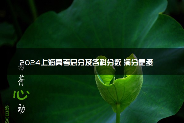 2024上海高考总分及各科分数 满分是多少