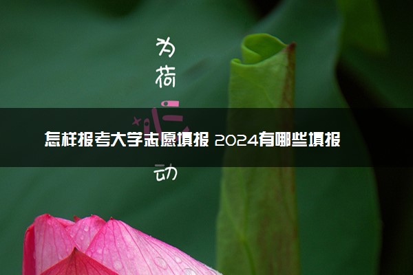 怎样报考大学志愿填报 2024有哪些填报技巧