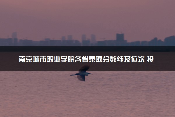 南京城市职业学院各省录取分数线及位次 投档最低分是多少(2024年高考参考)