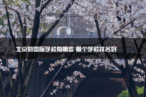 北京的国际学校有哪些 哪个学校排名好