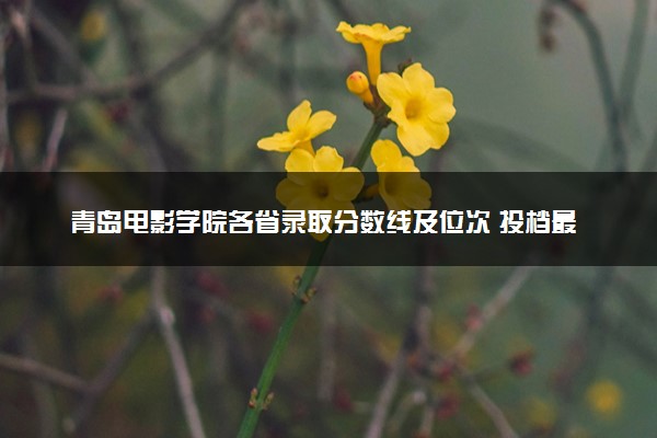 青岛电影学院各省录取分数线及位次 投档最低分是多少(2024年高考参考)