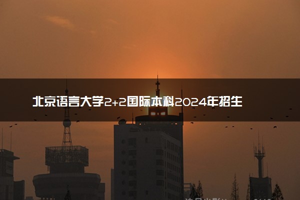 北京语言大学2+2国际本科2024年招生简章