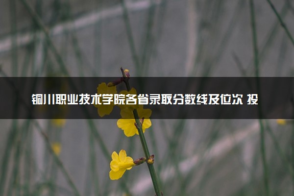 铜川职业技术学院各省录取分数线及位次 投档最低分是多少(2024年高考参考)