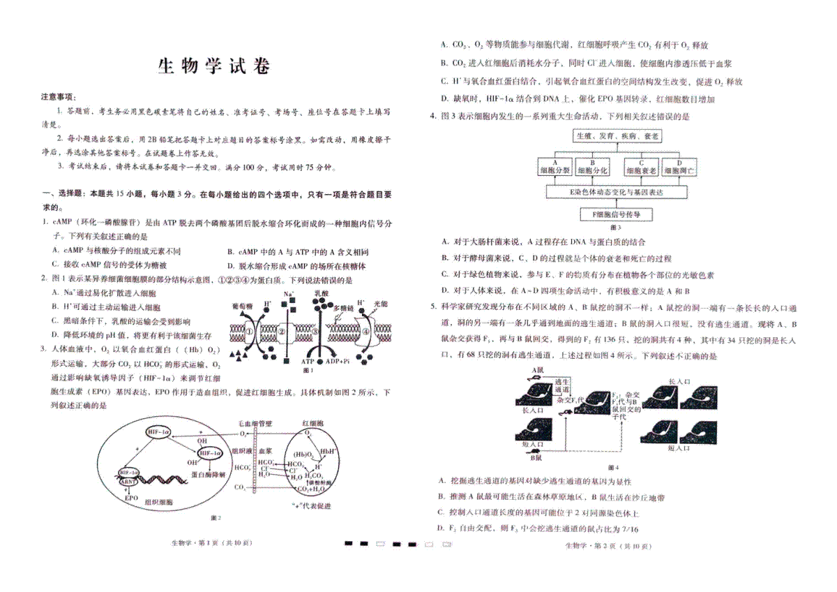 巴蜀中学2024届高考适应性4月月考生物