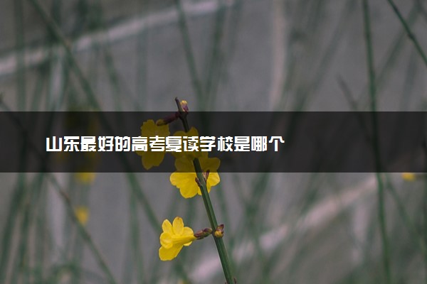 山东最好的高考复读学校是哪个