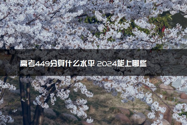 高考449分算什么水平 2024能上哪些大学