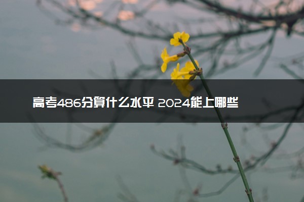 高考486分算什么水平 2024能上哪些大学