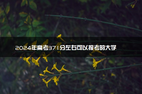 2024年高考371分左右可以报考的大学有哪些
