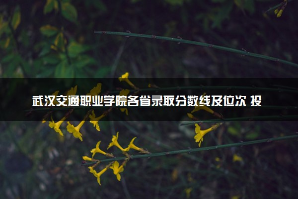 武汉交通职业学院各省录取分数线及位次 投档最低分是多少(2024年高考参考)