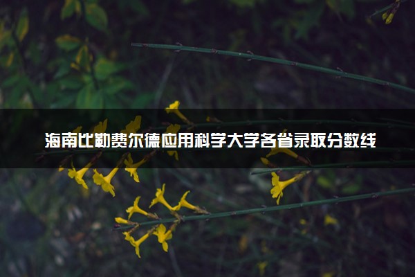 海南比勒费尔德应用科学大学各省录取分数线及位次 投档最低分是多少(2024年高考参考)