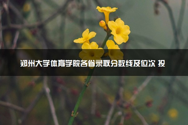 郑州大学体育学院各省录取分数线及位次 投档最低分是多少(2024年高考参考)