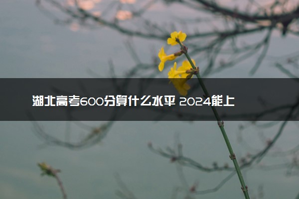 湖北高考600分算什么水平 2024能上哪些大学