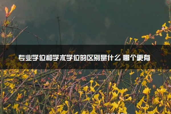 专业学位和学术学位的区别是什么 哪个更有优势