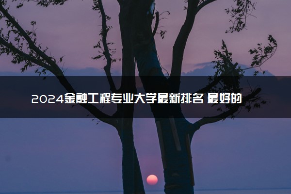 2024金融工程专业大学最新排名 最好的50所大学排行榜