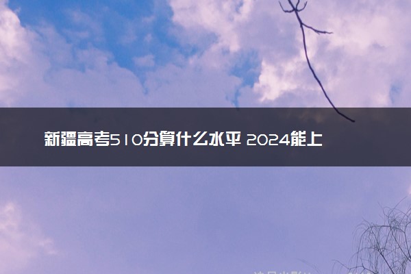 新疆高考510分算什么水平 2024能上哪些大学