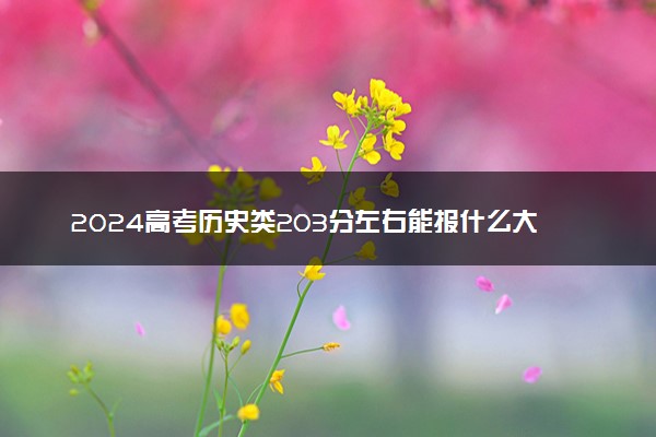 2024高考历史类203分左右能报什么大学 可以上的院校名单