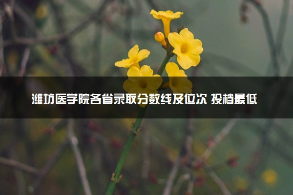 潍坊医学院各省录取分数线及位次 投档最低分是多少(2024年高考参考)