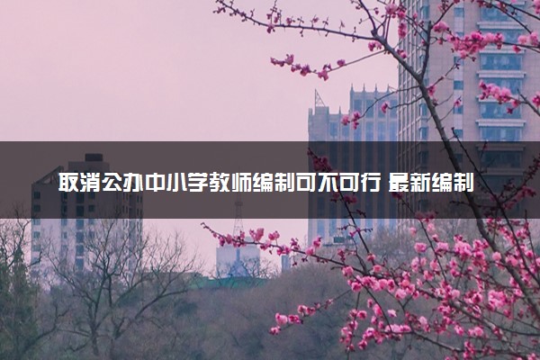 取消公办中小学教师编制可不可行 最新编制改革政策分析