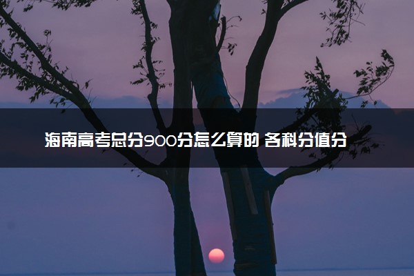 海南高考总分900分怎么算的 各科分值分布