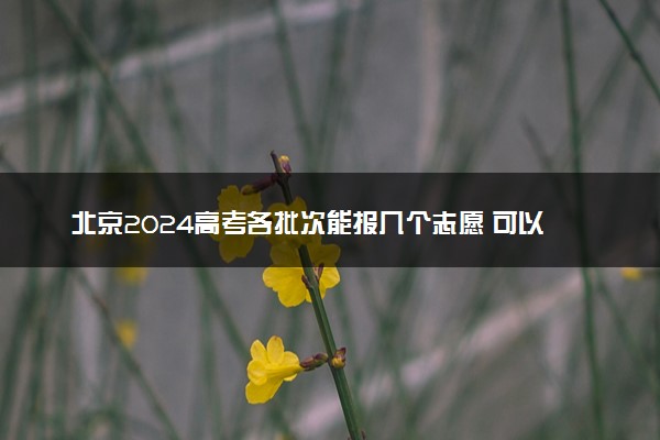 北京2024高考各批次能报几个志愿 可以报几个大学和专业