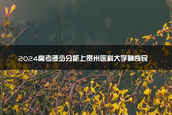 2024高考多少分能上贵州医科大学神奇民族医药学院 最低分数线和位次