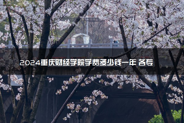 2024重庆财经学院学费多少钱一年 各专业收费标准