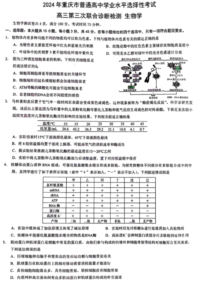 重庆2024高三5月三诊(康德卷)生物试题及答案解析