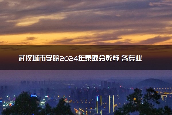 武汉城市学院2024年录取分数线 各专业录取最低分及位次