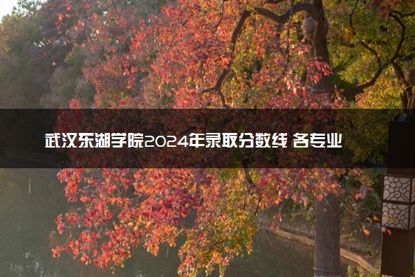 武汉东湖学院2024年录取分数线 各专业录取最低分及位次