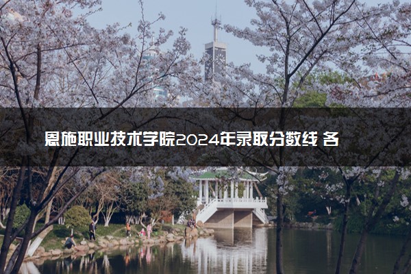 恩施职业技术学院2024年录取分数线 各专业录取最低分及位次