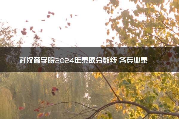 武汉商学院2024年录取分数线 各专业录取最低分及位次