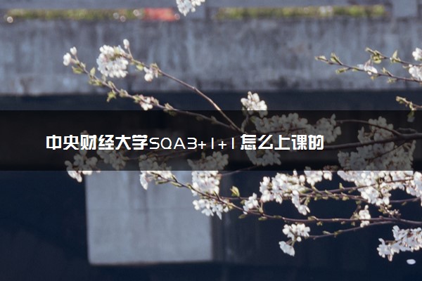 中央财经大学SQA3+1+1怎么上课的 第一年学什么