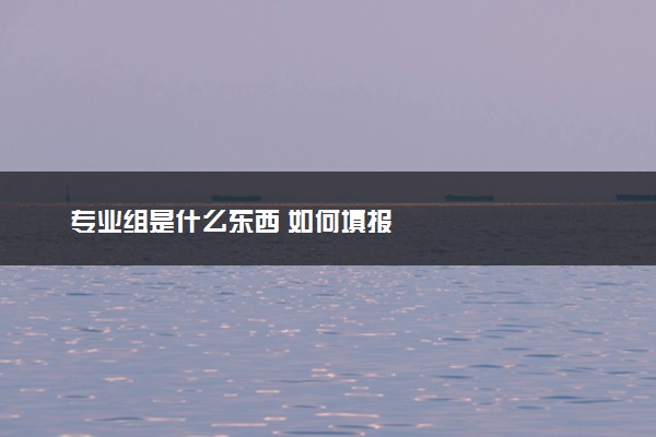 专业组是什么东西 如何填报