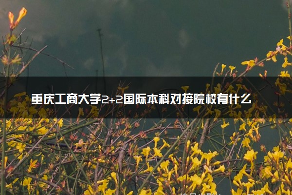 重庆工商大学2+2国际本科对接院校有什么 合作院校名单